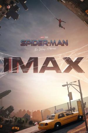 Spider-Man: No Way Home's poster