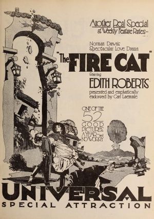 The Fire Cat's poster