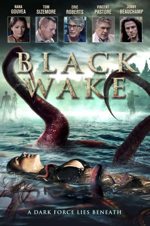Black Wake's poster