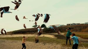 Birdemic 3: Sea Eagle's poster