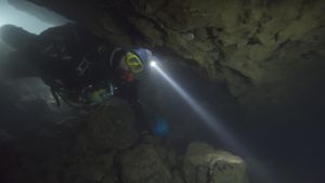 The Rescue's poster