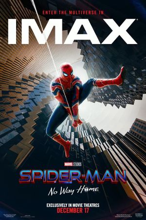 Spider-Man: No Way Home's poster