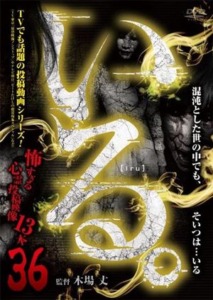 「Iru.」~ Kowasugiru Tōkō Eizō 13-hon ~ Vol.36's poster