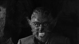 The Werewolf's poster