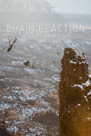 Chain Reaction - 8 Disciplines of Flight's poster