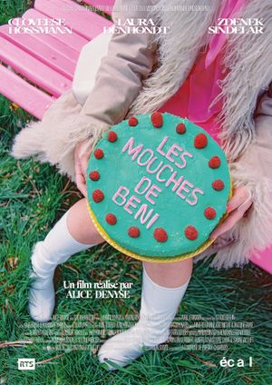 Les Mouches de Beni's poster