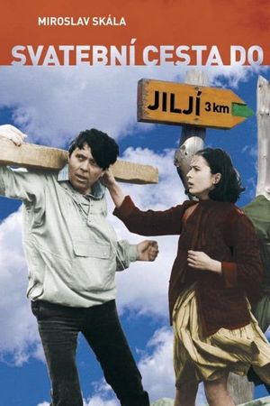 Bridal Tour to Jilji's poster