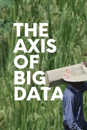 The Axis of Big Data's poster