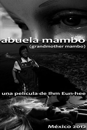 abuela mambo's poster