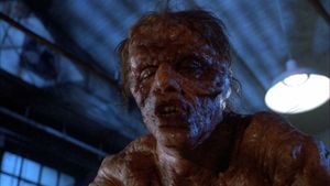The Fly's poster