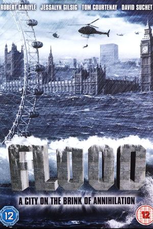 Flood's poster