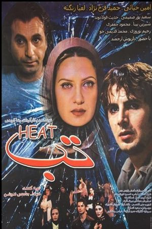 The Fever's poster