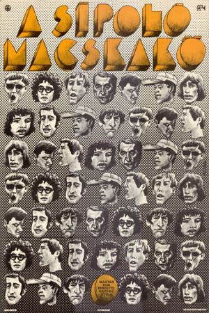 A sípoló macskakö's poster
