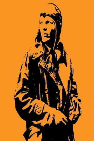 Amelia Earhart: The Lost Evidence's poster