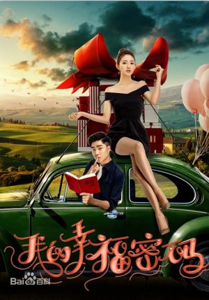 我的幸福密码's poster