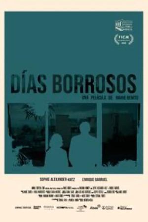 Dias Borrosos's poster