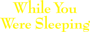 While You Were Sleeping's poster