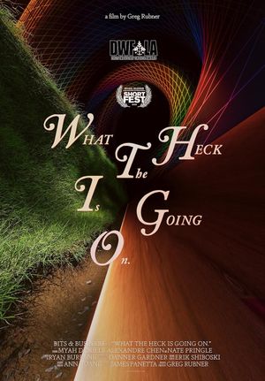 What the Heck Is Going On.'s poster