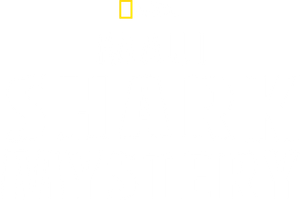 Maui Shark Mystery's poster