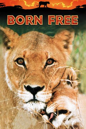 Born Free's poster