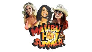 Malibu Hot Summer's poster