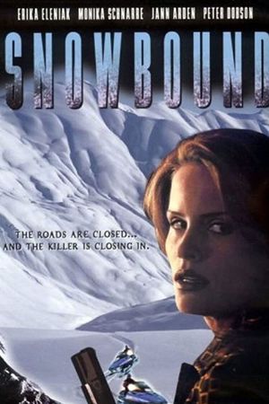 Snowbound's poster