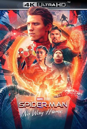 Spider-Man: No Way Home's poster