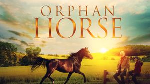 Orphan Horse's poster