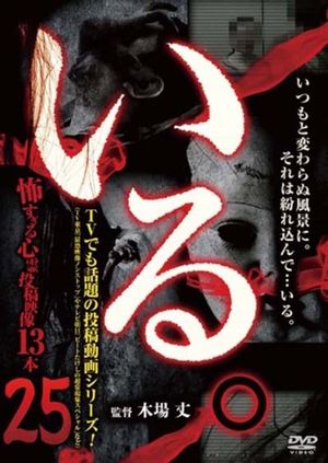 「Iru.」~ Kowasugiru Tōkō Eizō 13-hon ~ Vol.25's poster