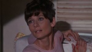 Wait Until Dark's poster
