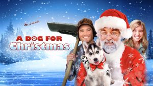 A Dog for Christmas's poster