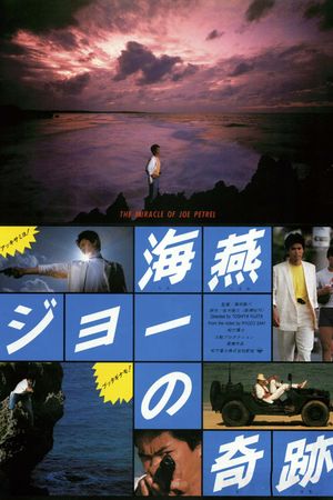The Miracle of Umitsubame Joe's poster