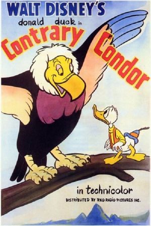 Contrary Condor's poster