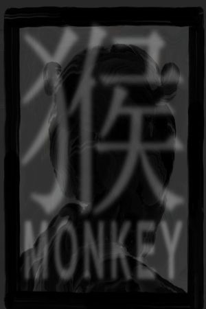 Monkey's poster image