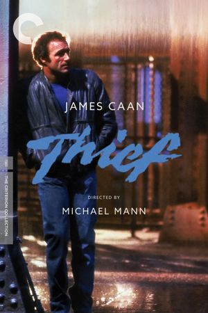 Thief's poster