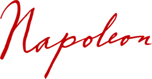 Napoleon's poster