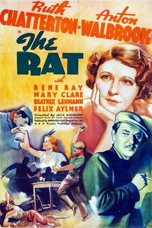 The Rat's poster