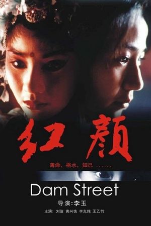 Dam Street's poster