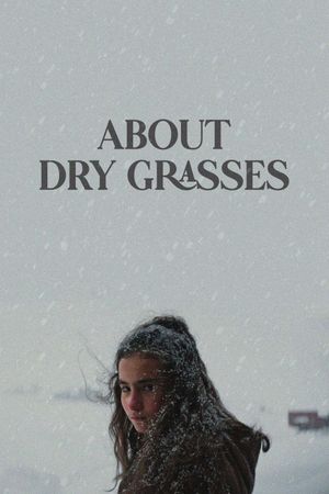 About Dry Grasses's poster