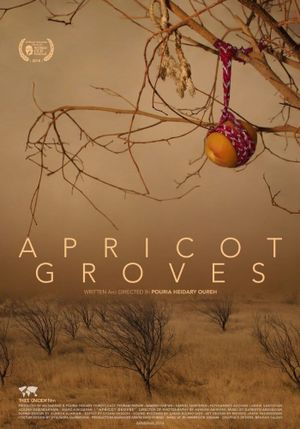 Apricot Groves's poster