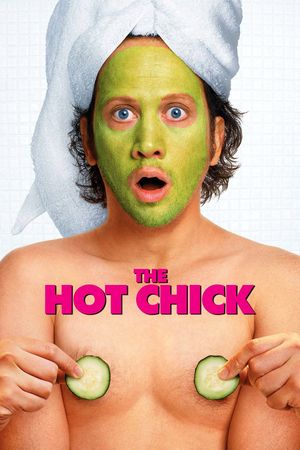 The Hot Chick's poster