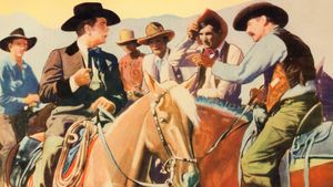 The Cowboy Counsellor's poster