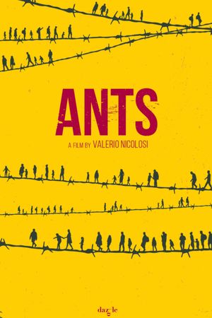 Ants's poster