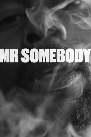 Mr Somebody's poster