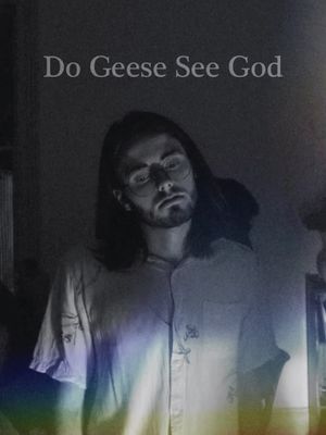 Do Geese See God's poster image