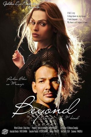 Beyond the 3rd kind's poster