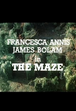 The Maze's poster
