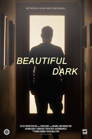 Beautiful Dark's poster image