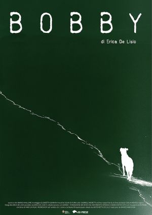 Bobby's poster