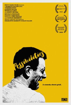 Possibilities's poster